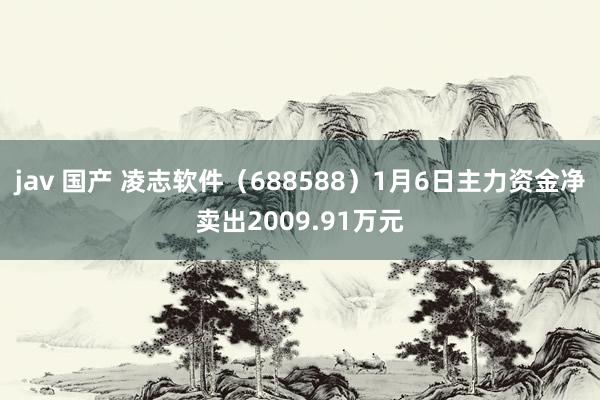 jav 国产 凌志软件（688588）1月6日主力资金净卖出2009.91万元