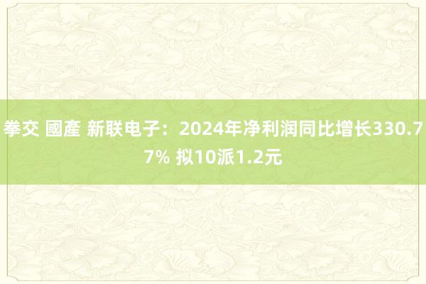 拳交 國產 新联电子：2024年净利润同比增长330.77% 拟10派1.2元