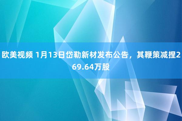 欧美视频 1月13日岱勒新材发布公告，其鞭策减捏269.64万股