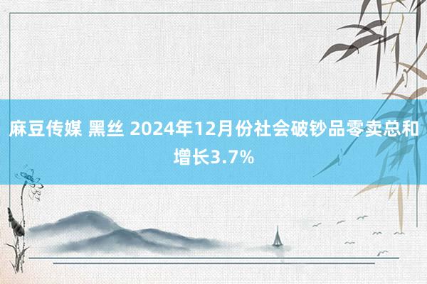 麻豆传媒 黑丝 2024年12月份社会破钞品零卖总和增长3.7%