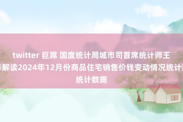 twitter 巨屌 国度统计局城市司首席统计师王中华解读2024年12月份商品住宅销售价钱变动情况统计数据