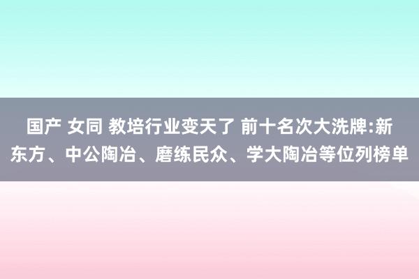 国产 女同 教培行业变天了 前十名次大洗牌:新东方、中公陶冶、磨练民众、学大陶冶等位列榜单