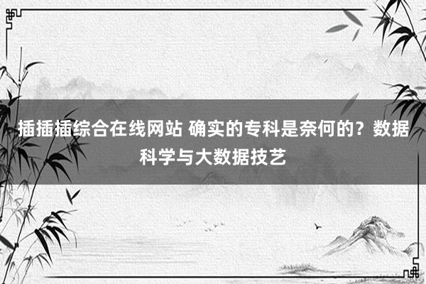 插插插综合在线网站 确实的专科是奈何的？数据科学与大数据技艺