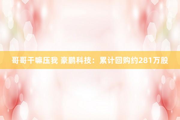 哥哥干嘛压我 豪鹏科技：累计回购约281万股