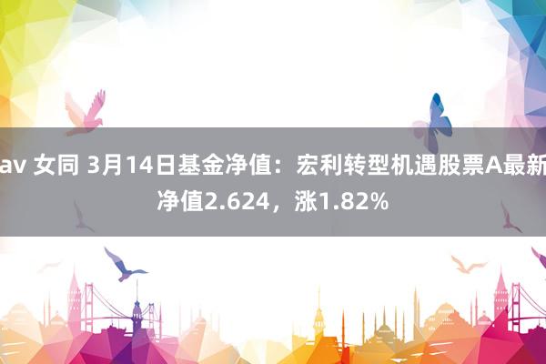 av 女同 3月14日基金净值：宏利转型机遇股票A最新净值2.624，涨1.82%