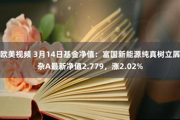 欧美视频 3月14日基金净值：富国新能源纯真树立羼杂A最新净值2.779，涨2.02%