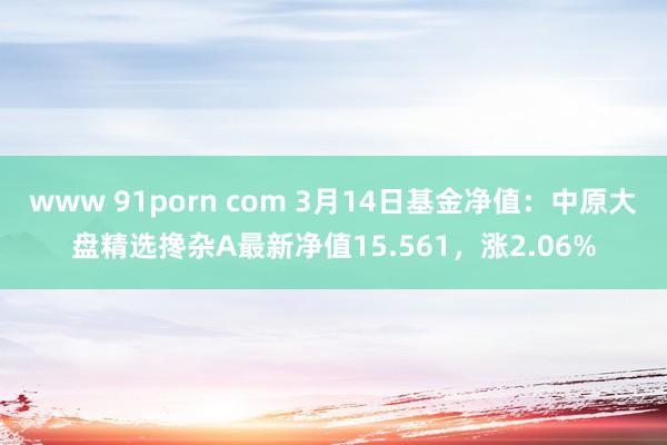 www 91porn com 3月14日基金净值：中原大盘精选搀杂A最新净值15.561，涨2.06%