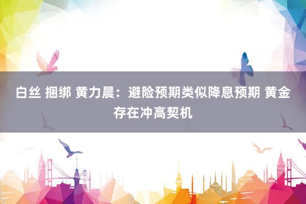 白丝 捆绑 黄力晨：避险预期类似降息预期 黄金存在冲高契机