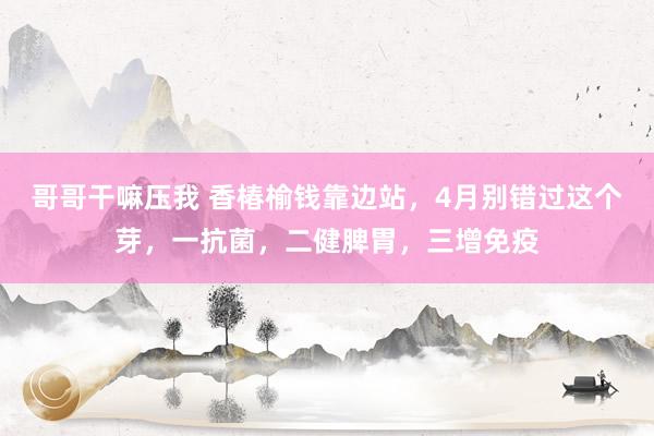 哥哥干嘛压我 香椿榆钱靠边站，4月别错过这个芽，一抗菌，二健脾胃，三增免疫