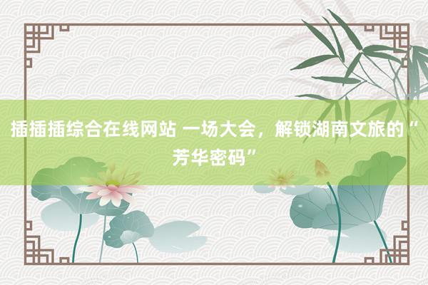 插插插综合在线网站 一场大会，解锁湖南文旅的“芳华密码”