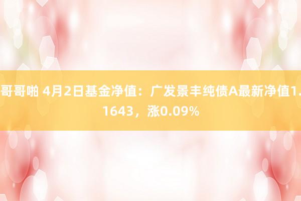 哥哥啪 4月2日基金净值：广发景丰纯债A最新净值1.1643，涨0.09%