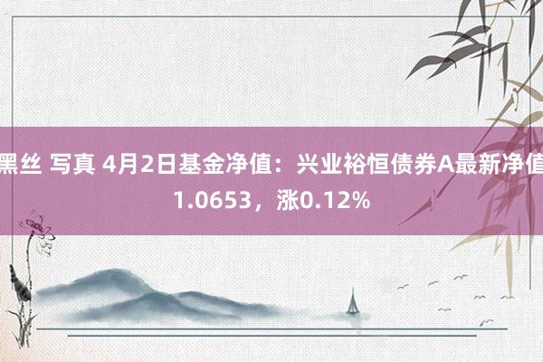 黑丝 写真 4月2日基金净值：兴业裕恒债券A最新净值1.0653，涨0.12%