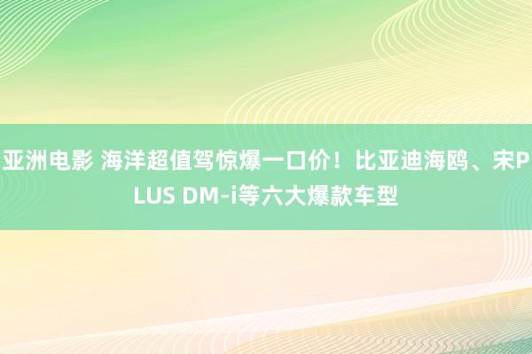 亚洲电影 海洋超值驾惊爆一口价！比亚迪海鸥、宋PLUS DM-i等六大爆款车型