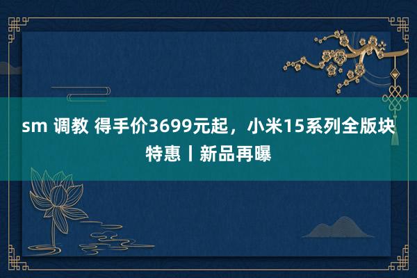 sm 调教 得手价3699元起，小米15系列全版块特惠丨新品再曝