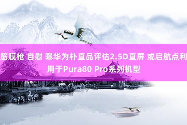 筋膜枪 自慰 曝华为朴直品评估2.5D直屏 或启航点利用于Pura80 Pro系列机型