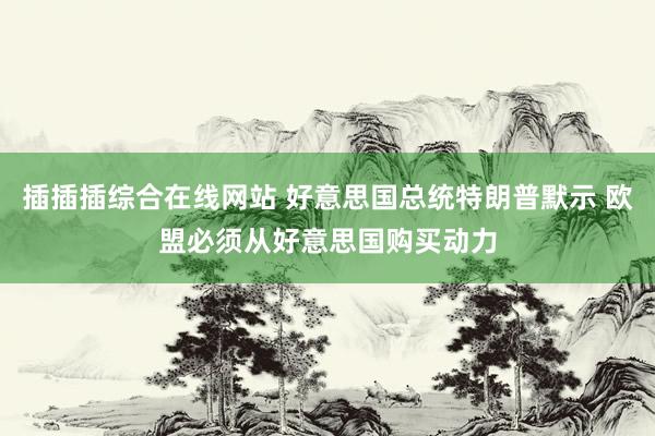 插插插综合在线网站 好意思国总统特朗普默示 欧盟必须从好意思国购买动力