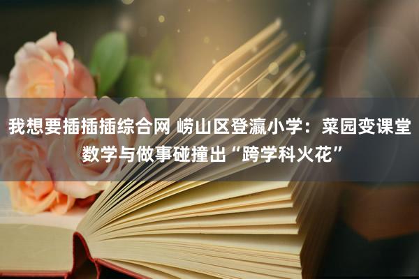 我想要插插插综合网 崂山区登瀛小学：菜园变课堂 数学与做事碰撞出“跨学科火花”