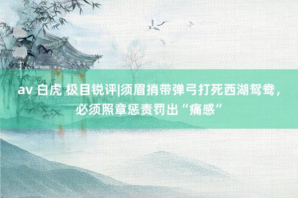 av 白虎 极目锐评|须眉捎带弹弓打死西湖鸳鸯，必须照章惩责罚出“痛感”