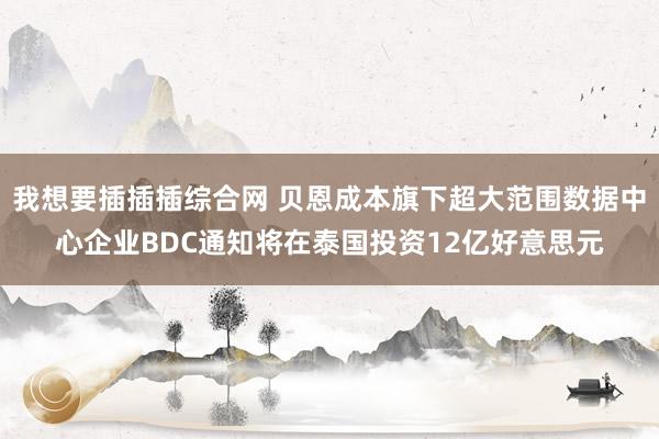 我想要插插插综合网 贝恩成本旗下超大范围数据中心企业BDC通知将在泰国投资12亿好意思元