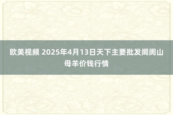 欧美视频 2025年4月13日天下主要批发阛阓山母羊价钱行情