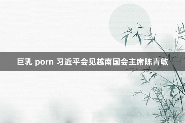 巨乳 porn 习近平会见越南国会主席陈青敏