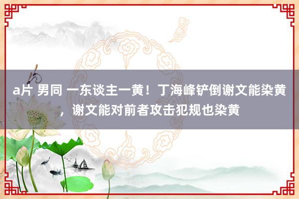 a片 男同 一东谈主一黄！丁海峰铲倒谢文能染黄，谢文能对前者攻击犯规也染黄
