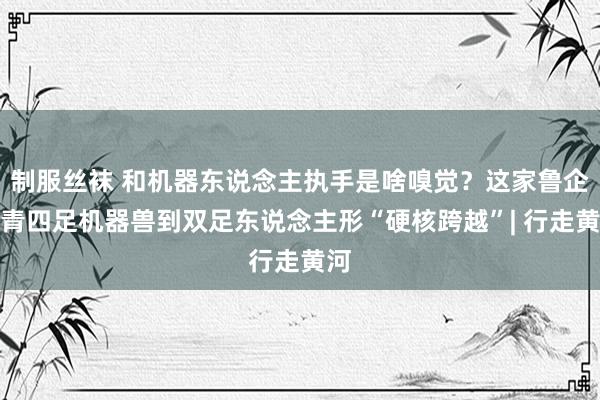 制服丝袜 和机器东说念主执手是啥嗅觉？这家鲁企杀青四足机器兽到双足东说念主形“硬核跨越”| 行走黄河