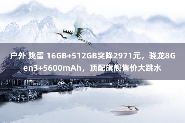 户外 跳蛋 16GB+512GB突降2971元，骁龙8Gen3+5600mAh，顶配旗舰售价大跳水