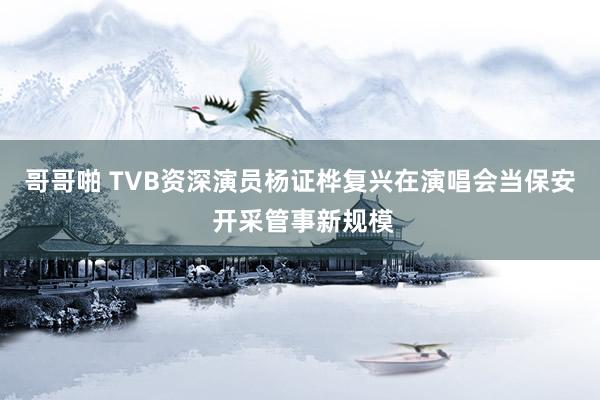 哥哥啪 TVB资深演员杨证桦复兴在演唱会当保安 开采管事新规模
