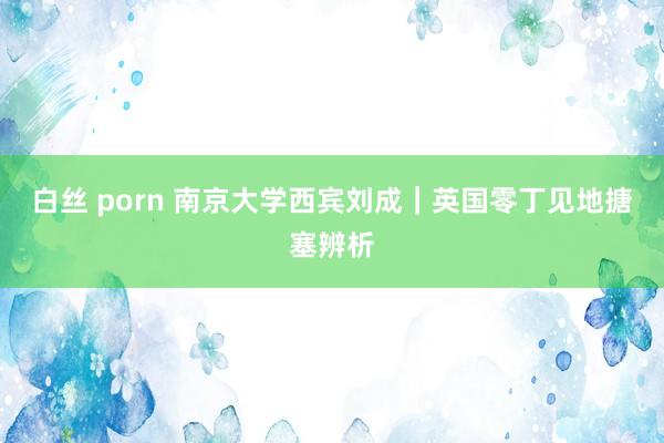 白丝 porn 南京大学西宾刘成｜英国零丁见地搪塞辨析