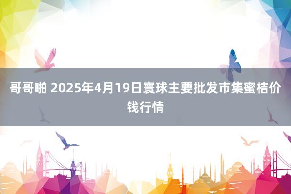 哥哥啪 2025年4月19日寰球主要批发市集蜜桔价钱行情