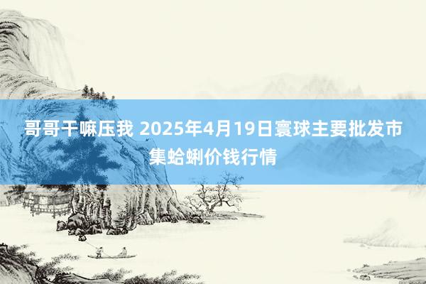 哥哥干嘛压我 2025年4月19日寰球主要批发市集蛤蜊价钱行情