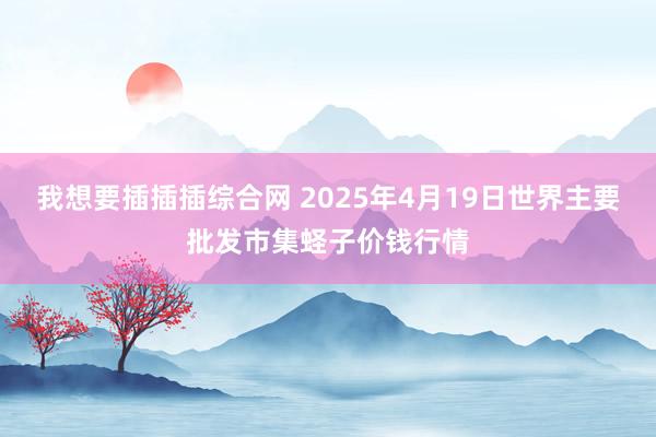 我想要插插插综合网 2025年4月19日世界主要批发市集蛏子价钱行情
