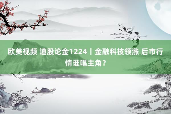 欧美视频 道股论金1224丨金融科技领涨 后市行情谁唱主角？