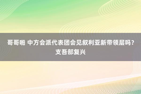 哥哥啪 中方会派代表团会见叙利亚新带领层吗？支吾部复兴