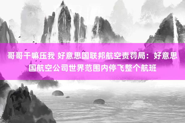 哥哥干嘛压我 好意思国联邦航空责罚局：好意思国航空公司世界范围内停飞整个航班