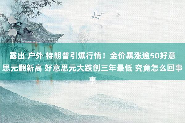 露出 户外 特朗普引爆行情！金价暴涨逾50好意思元翻新高 好意思元大跌创三年最低 究竟怎么回事
