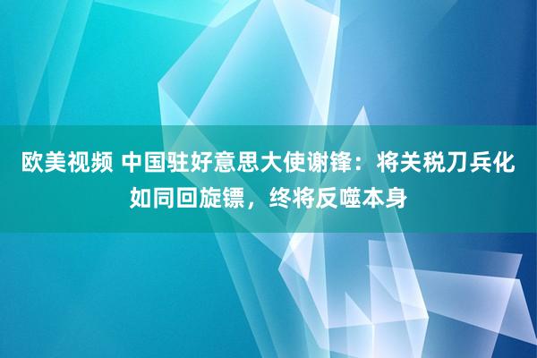 欧美视频 中国驻好意思大使谢锋：将关税刀兵化如同回旋镖，终将反噬本身
