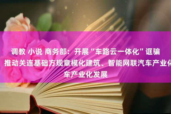 调教 小说 商务部：开展“车路云一体化”诓骗试点，推动关连基础方规章模化建筑、智能网联汽车产业化发展
