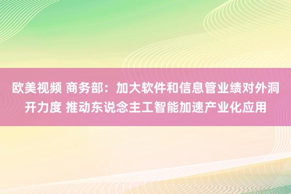 欧美视频 商务部：加大软件和信息管业绩对外洞开力度 推动东说念主工智能加速产业化应用