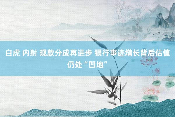 白虎 内射 现款分成再进步 银行事迹增长背后估值仍处“凹地”
