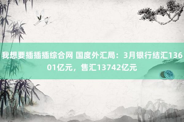 我想要插插插综合网 国度外汇局：3月银行结汇13601亿元，售汇13742亿元