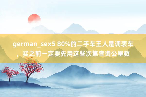 german_sex5 80%的二手车王人是调表车，买之前一定要先用这些次第查询公里数
