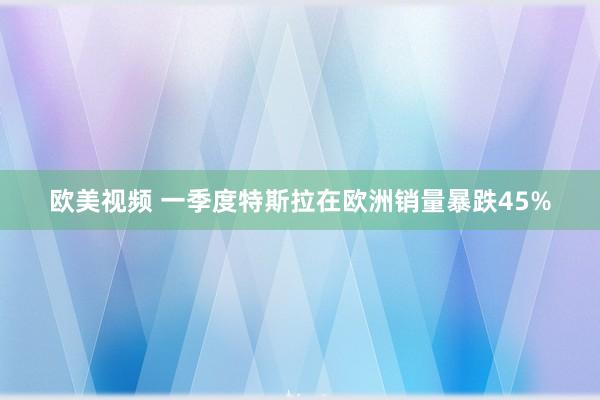 欧美视频 一季度特斯拉在欧洲销量暴跌45%