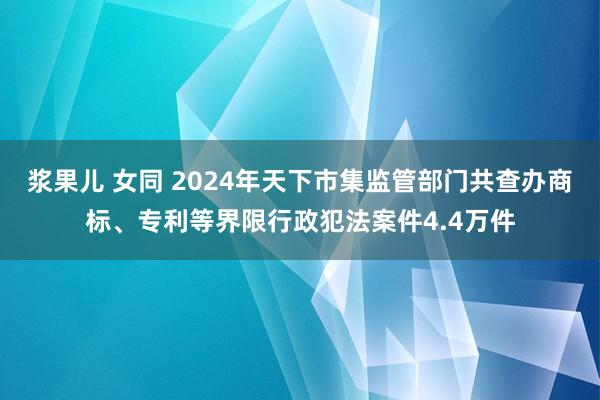 浆果儿 女同 2024年天下市集监管部门共查办商标、专利等界限行政犯法案件4.4万件
