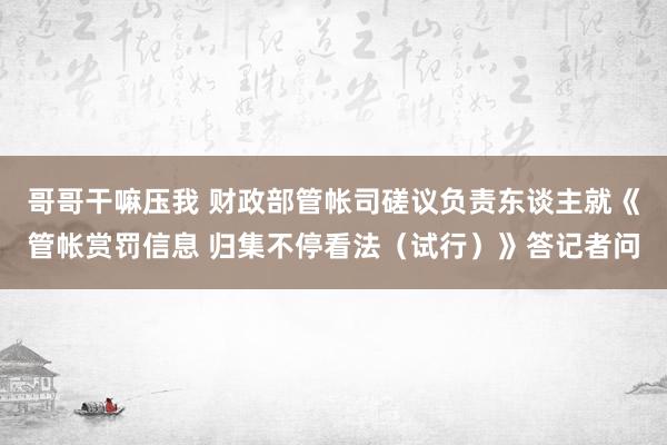 哥哥干嘛压我 财政部管帐司磋议负责东谈主就《管帐赏罚信息 归集不停看法（试行）》答记者问