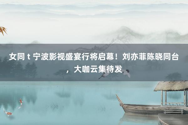 女同 t 宁波影视盛宴行将启幕！刘亦菲陈晓同台，大咖云集待发