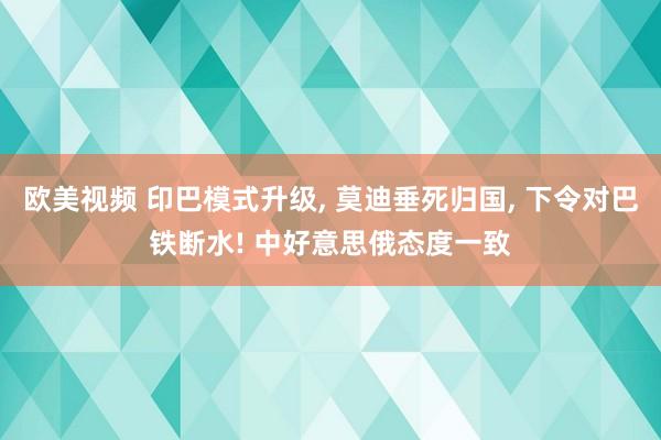欧美视频 印巴模式升级， 莫迪垂死归国， 下令对巴铁断水! 中好意思俄态度一致
